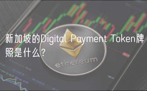 新加坡的Digital Payment Token牌照是什么？-第1张图片-欧易下载