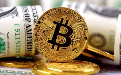 碧桂园支持pi币支付了吗 pi币能涨到多少（不可以）-第1张图片-欧易下载