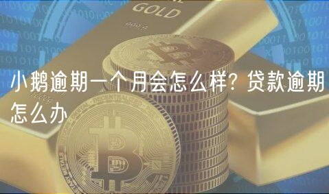 小鹅逾期一个月会怎么样? 贷款逾期怎么办-第1张图片-欧易下载