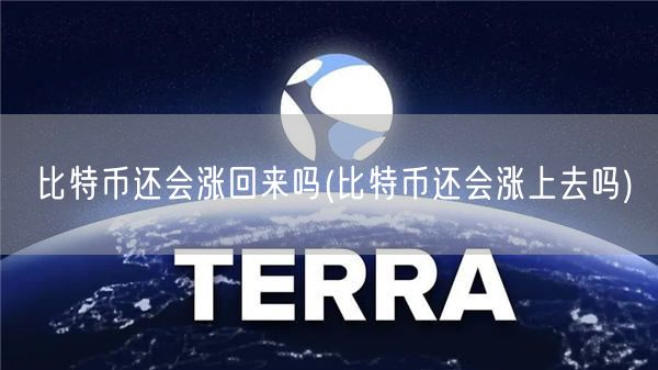 比特币还会涨回来吗(比特币还会涨上去吗)-第1张图片-欧易下载