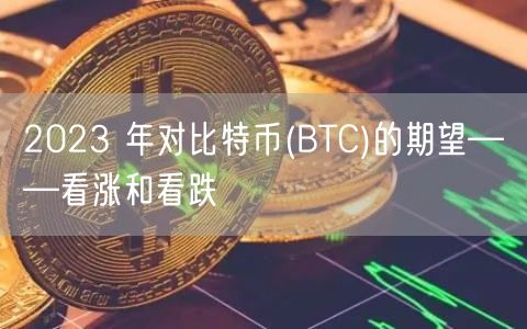 2023 年对比特币(BTC)的期望——看涨和看跌-第1张图片-欧易下载