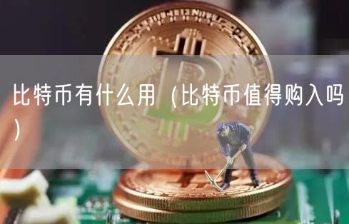 比特币有什么用（比特币值得购入吗）-第1张图片-欧易下载