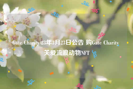 Gatb Charity 23年3月23日公告 购Gatb Charity 关爱流浪动物NFT-第1张图片-欧易下载