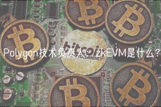 Polygon技术负责人：zkVM是什么？