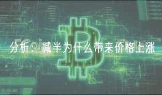 分析：减半为什么带来价格上涨