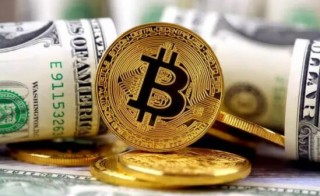 比特币多少钱一牧 - 一只比特币多少钱