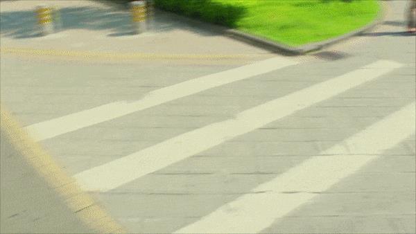 chat down,chatplus-第11张图片-欧易下载