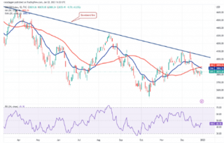 sp现在多少钱一枚 sp今日最新行情
