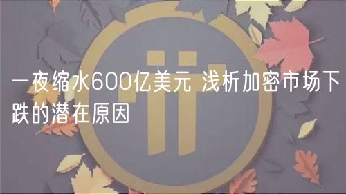 一夜缩水600亿美元 浅析加密市场下跌的潜在原因-第1张图片-欧易下载