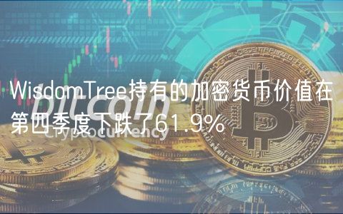WisdomTree持有的加密货币价值在第四季度下跌了61.9%-第1张图片-欧易下载