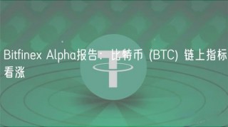 Bitfin Alpha报告：比特币 (BTC) 链上指标看涨