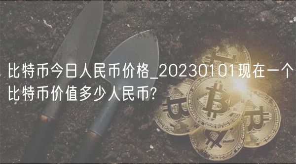 比特币今日人民币价格_20230101现在一个比特币价值多少人民币?-第1张图片-欧易下载