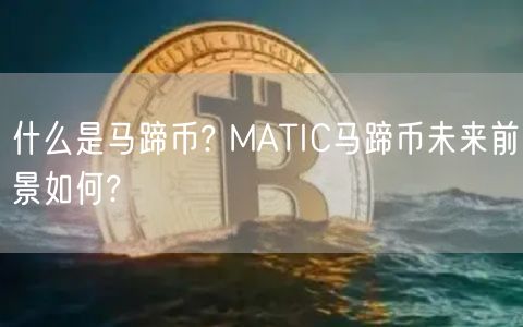 什么是马蹄币? MATIC马蹄币未来前景如何?-第1张图片-欧易下载