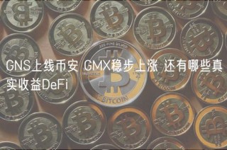 GNS上线binanc GM稳步上涨 还有哪些真实收益DFi