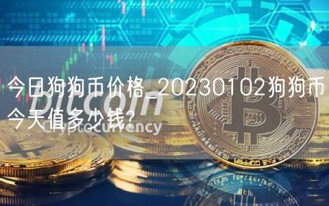 今日狗狗币价格_20230102狗狗币今天值多少钱?-第1张图片-欧易下载