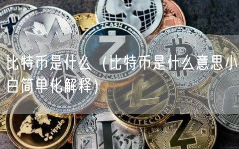 比特币是什么（比特币是什么意思小白简单化解释）-第1张图片-欧易下载