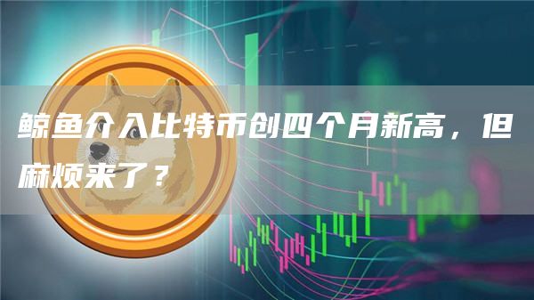 鲸鱼介入比特币创四个月新高，但麻烦来了？-第1张图片-欧易下载