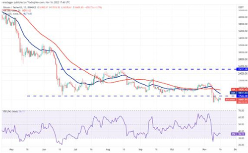 比特币今日最新价格 BTC最新行情分析资讯-第2张图片-欧易下载