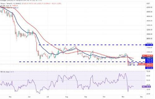 比特币价格今日行情 比特币今日最新消息-第2张图片-欧易下载