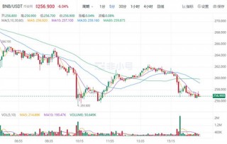binance币最新价格 binance币今日最新行情消息