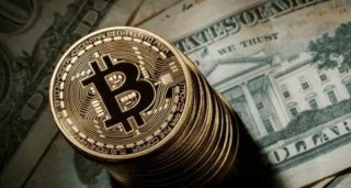 VS今日价格是多少