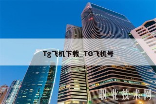 Tg飞机下载_TG飞机号