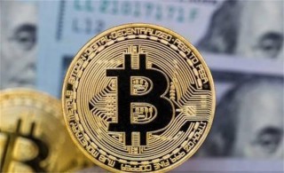 MSC币近期的行情如何