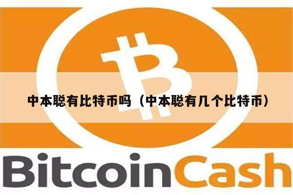 中本聪有比特币吗（中本聪有几个比特币）-第1张图片-欧易下载