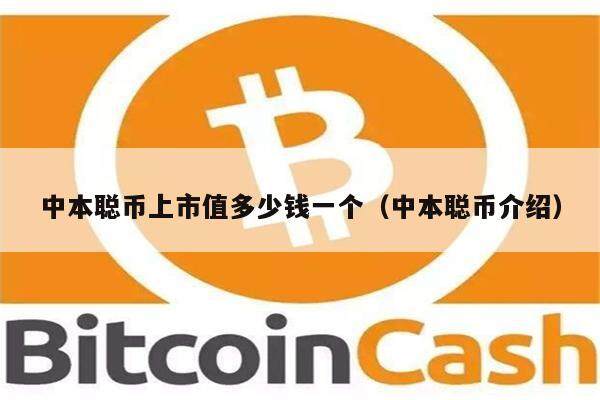 中本聪币上市值多少钱一个（中本聪币介绍）-第1张图片-欧易下载