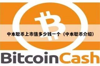 中本聪币上市值多少钱一个（中本聪币介绍）