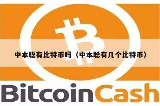 中本聪有比特币吗（中本聪有几个比特币）