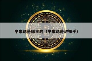 中本聪是哪里的（中本聪是谁知乎）