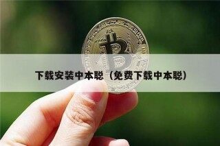下载安装中本聪（免费下载中本聪）