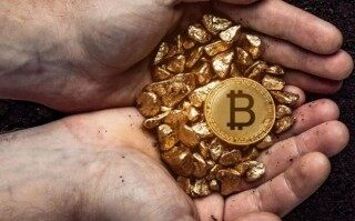 中本聪币最新消息:众筹情况(中本聪币最新消息）