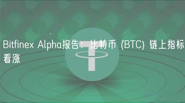 Bitfinb Alpha报告：比特币 (BTC) 链上指标看涨-第1张图片-欧易下载