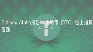Bitfinb Alpha报告：比特币 (BTC) 链上指标看涨