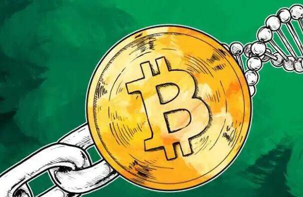 维卡币和维卡币有什么关系 维卡币交易平台v6.0.41app下载安卓-第1张图片-欧易下载 维卡币和维卡币有什么关系 维卡币交易平台v6.0.41app下载安卓-第1张图片-欧易下载