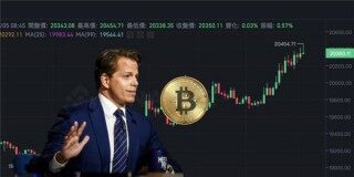 filusdt是什么币(fil币总共多少币)