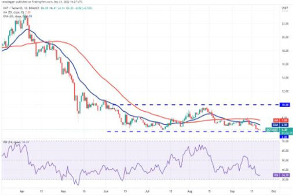 波卡币价格今日行情 DOT币最新行情资讯-第3张图片-欧易下载