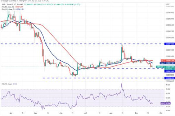 屎币今日最新价格行情 SHIB今日最新消息-第3张图片-欧易下载