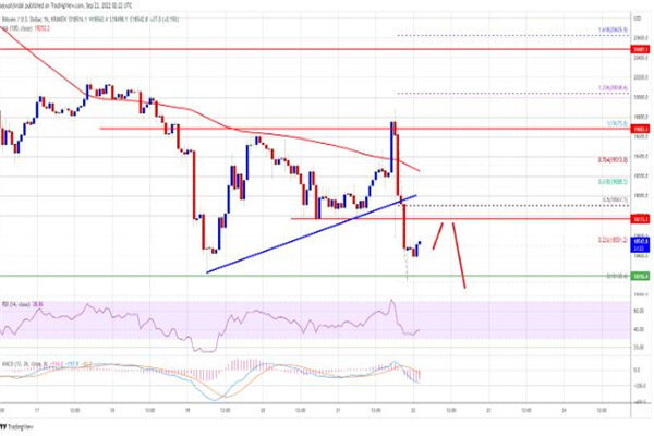 比特币今日最新价格是多少 BTC今日最新行情消息-第3张图片-欧易下载
