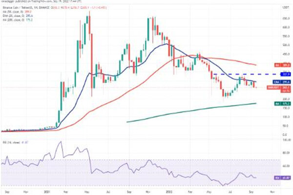 binance币最新价格行情美元 BNB最新趋势消息-第3张图片-欧易下载