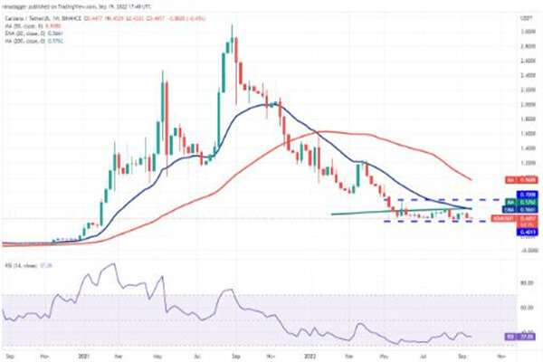 狗狗币今日最新价格 DOGE今日行情K线-第3张图片-欧易下载