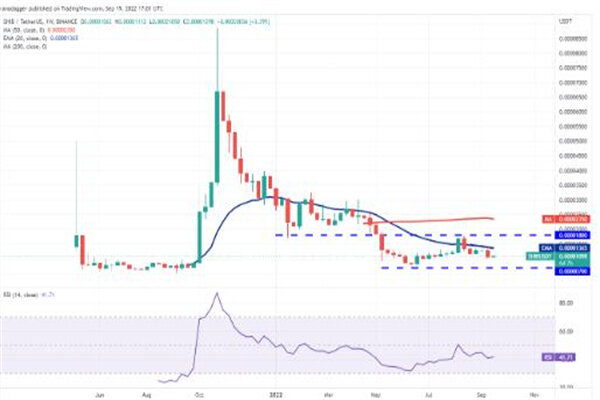 屎币今日最新价格行情 shib最新行情趋势K线-第3张图片-欧易下载