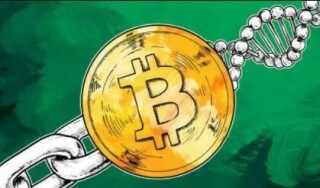 虚拟币今日价格行情(虚拟币行情价格表)