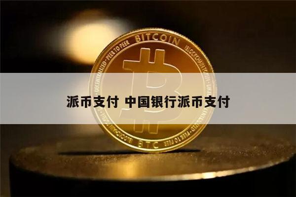 派币支付 中国银行派币支付 第1张