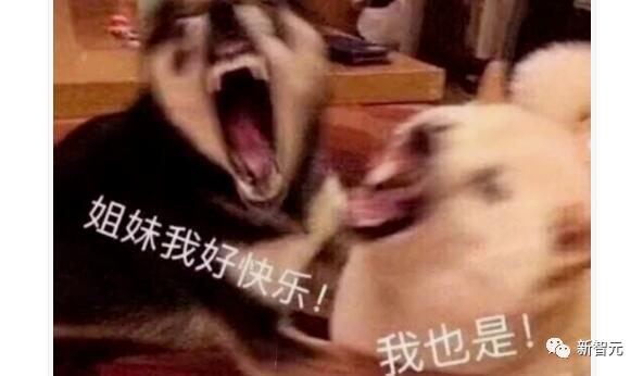 OpenAI正式开放ChatGPT API，100万个单词才18元，全民AIGC时代真的要来了