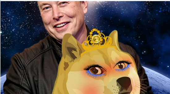 狗狗币价格(今日行情)