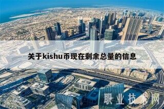 关于kishu币现在剩余总量的信息