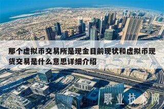 那个虚拟币交易所是现金目前现状和虚拟币现货交易是什么意思详细介绍